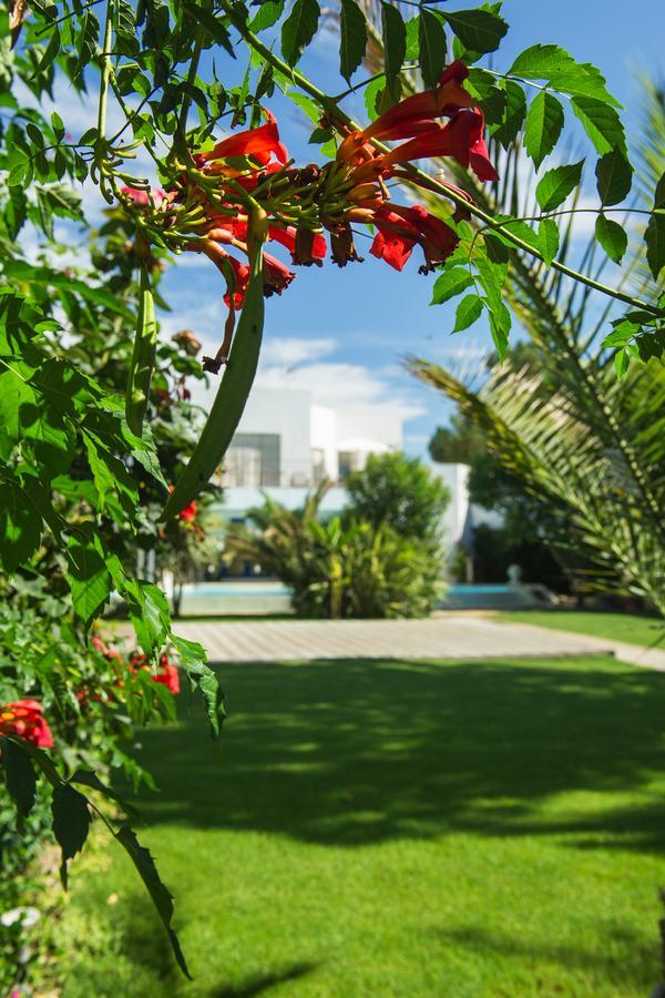 La Villa Majorelle 페르투이 외부 사진